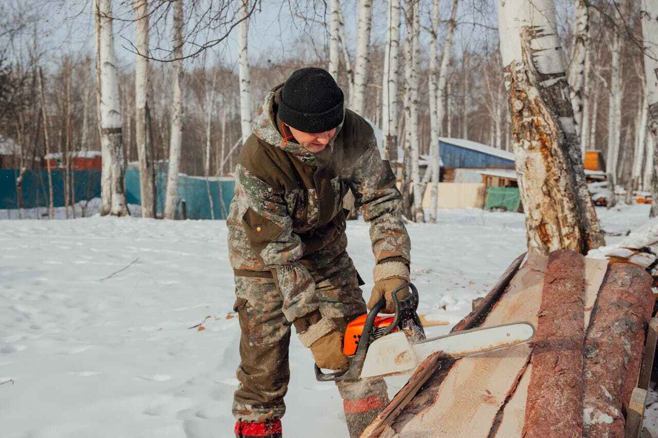 Rosebud, TX Tree Service Company